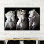 Three White Horses Wall Art