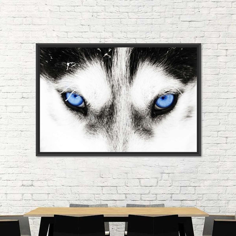 Husky's Eyes Wall Art