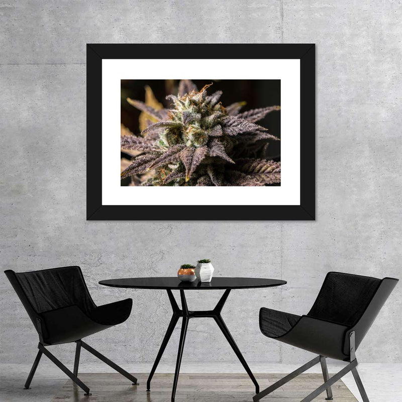 Marijuana In Winter Wall Art