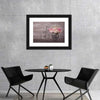 Ranunculus Bicycle Vase Wall Art