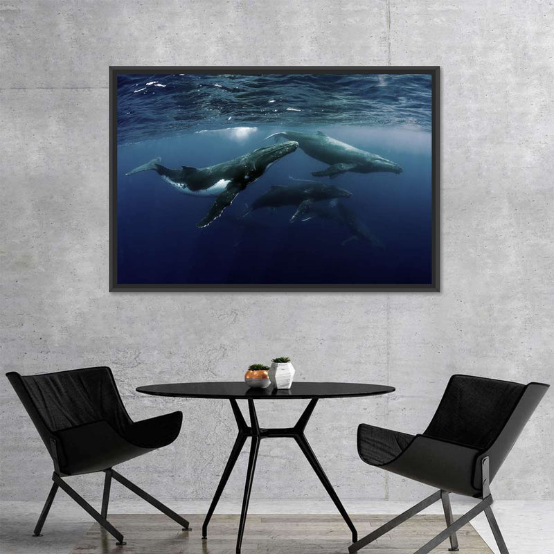Humpback Whales Wall Art