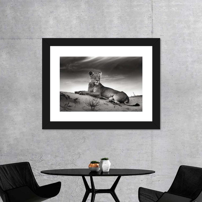 Lioness Wall Art