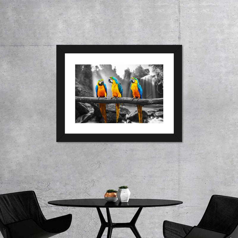 Macaw Friends Pop Wall Art