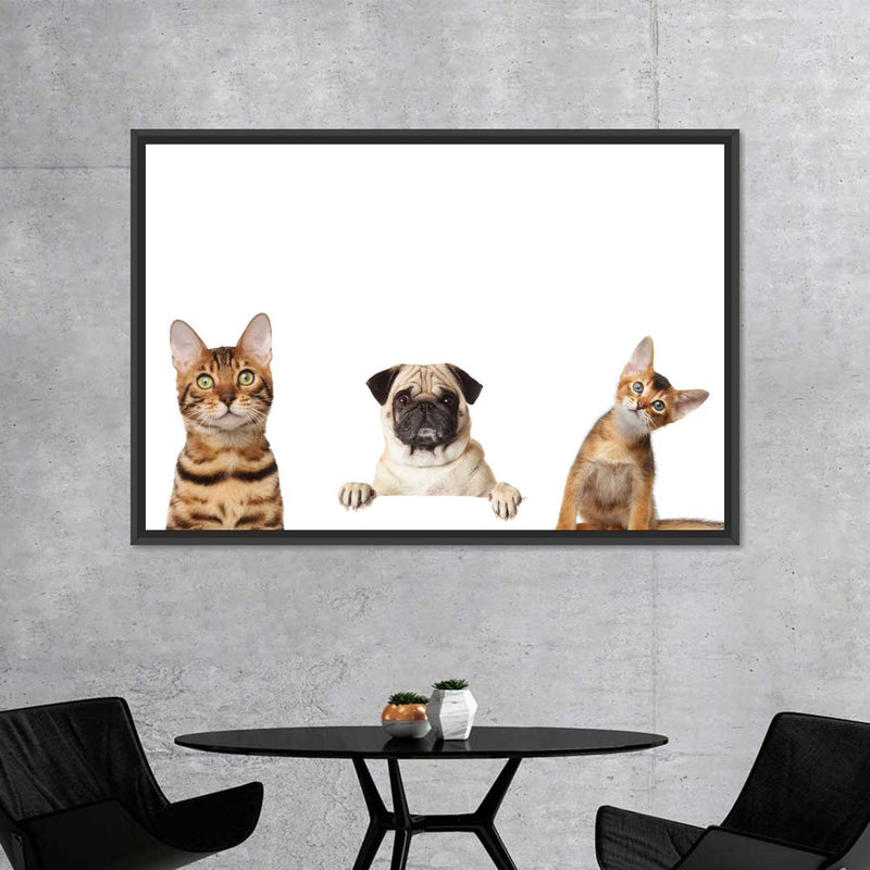 Pug And Cats Wall Art