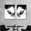Husky's Eyes Wall Art