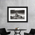 Lioness Wall Art