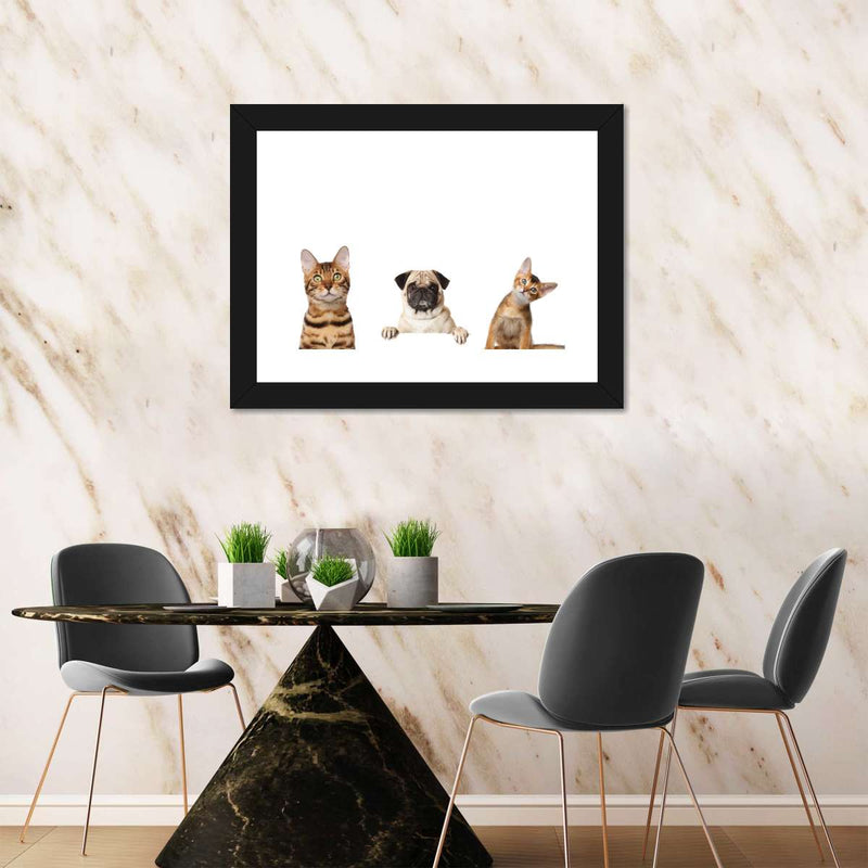 Pug And Cats Wall Art