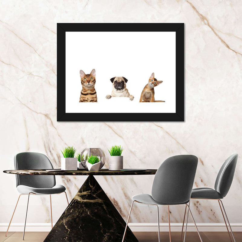 Pug And Cats Wall Art