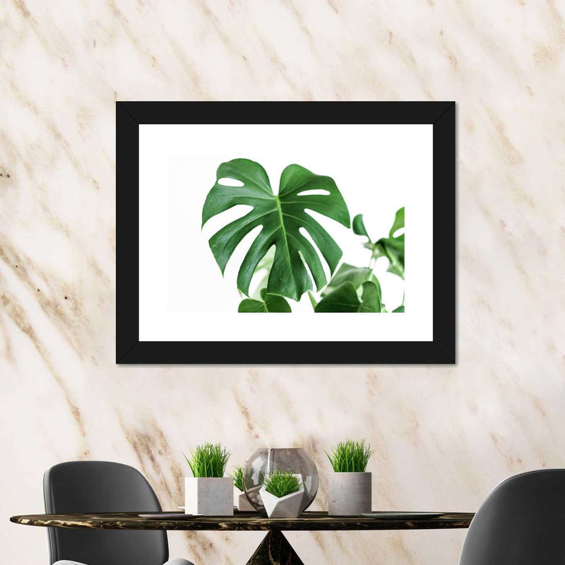 Monstera Leaf Wall Art