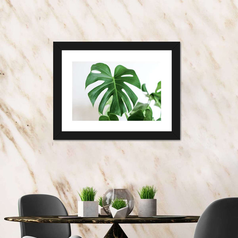 Monstera Leaf Wall Art