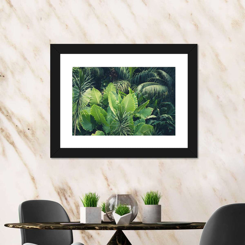 Tropical Jungle Wall Art