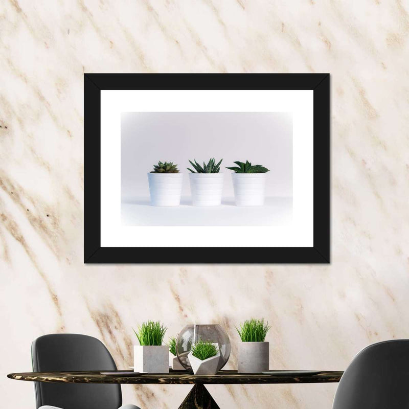 Three Succulents Wall Art