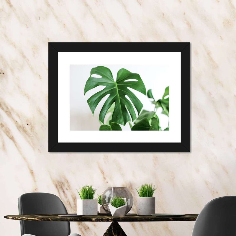 Monstera Leaf Wall Art