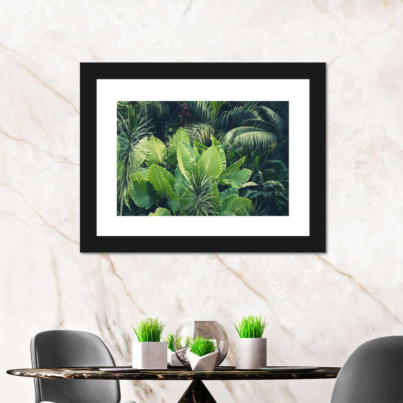 Tropical Jungle Wall Art