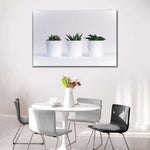 Three Succulents Wall Art