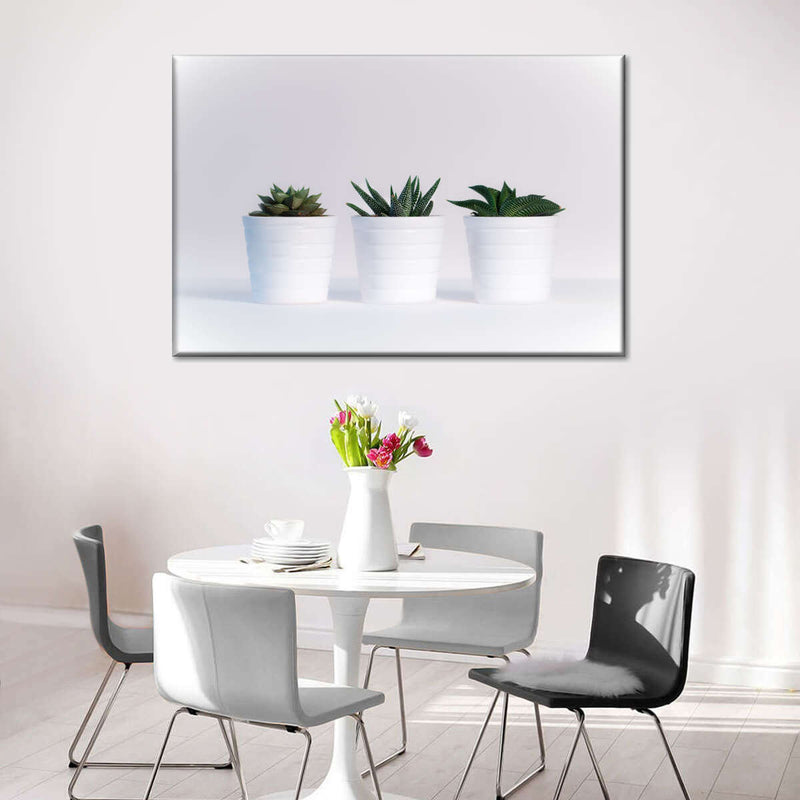 Three Succulents Wall Art