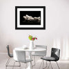 White Wolves Wall Art