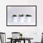 Three Succulents Wall Art
