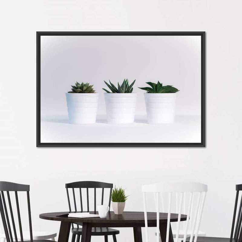Three Succulents Wall Art