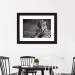 Jaguar Eyes Pop Wall Art