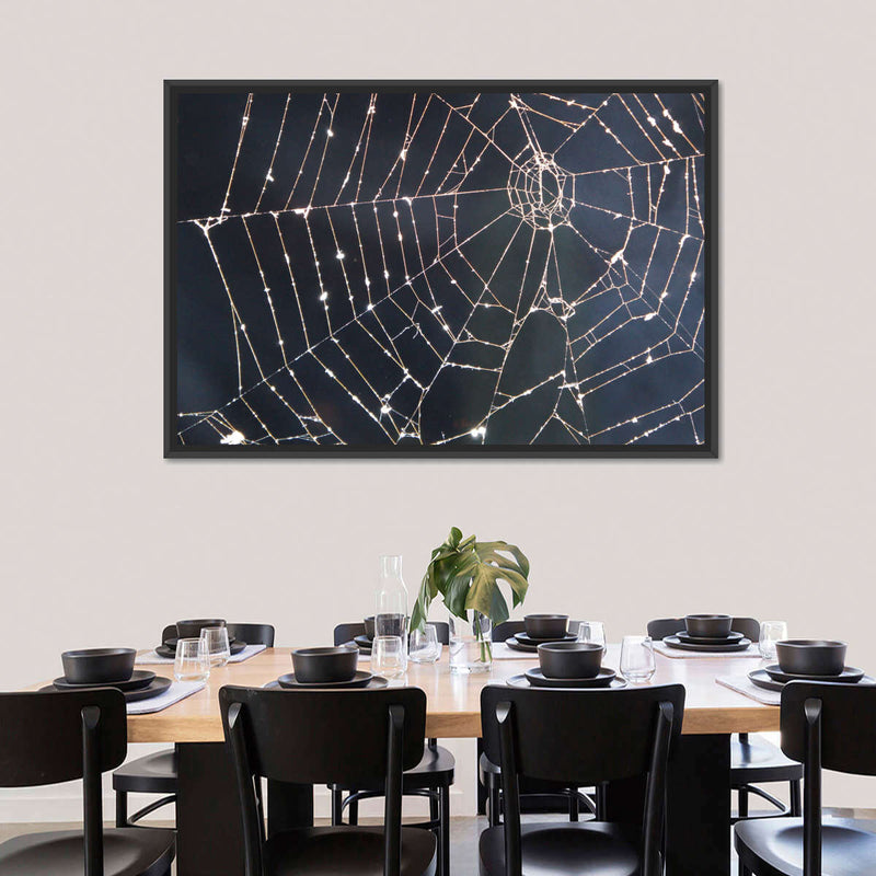 Spider Web Wall Art