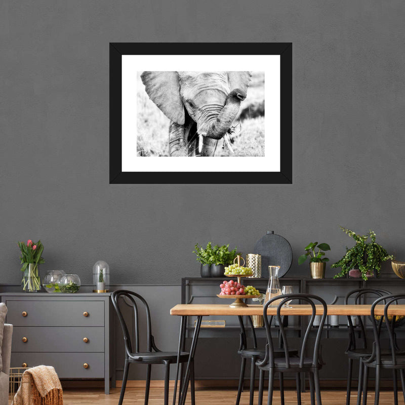 Kenyan Baby Elephant Wall Art