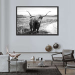 Highland Bull Wall Art