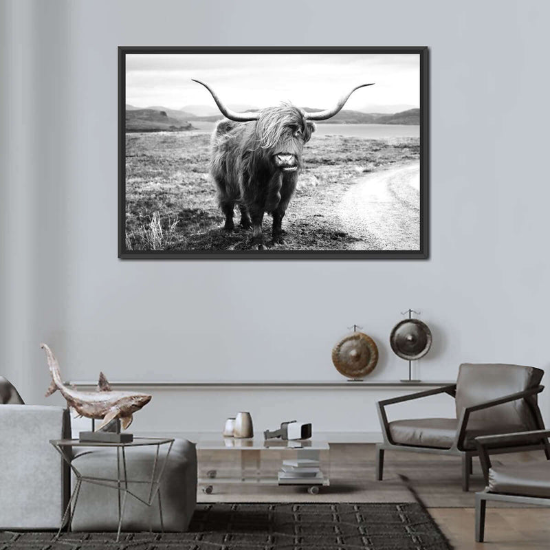 Highland Bull Wall Art