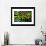 Zen Lakeside Bonsai Trees Wall Art
