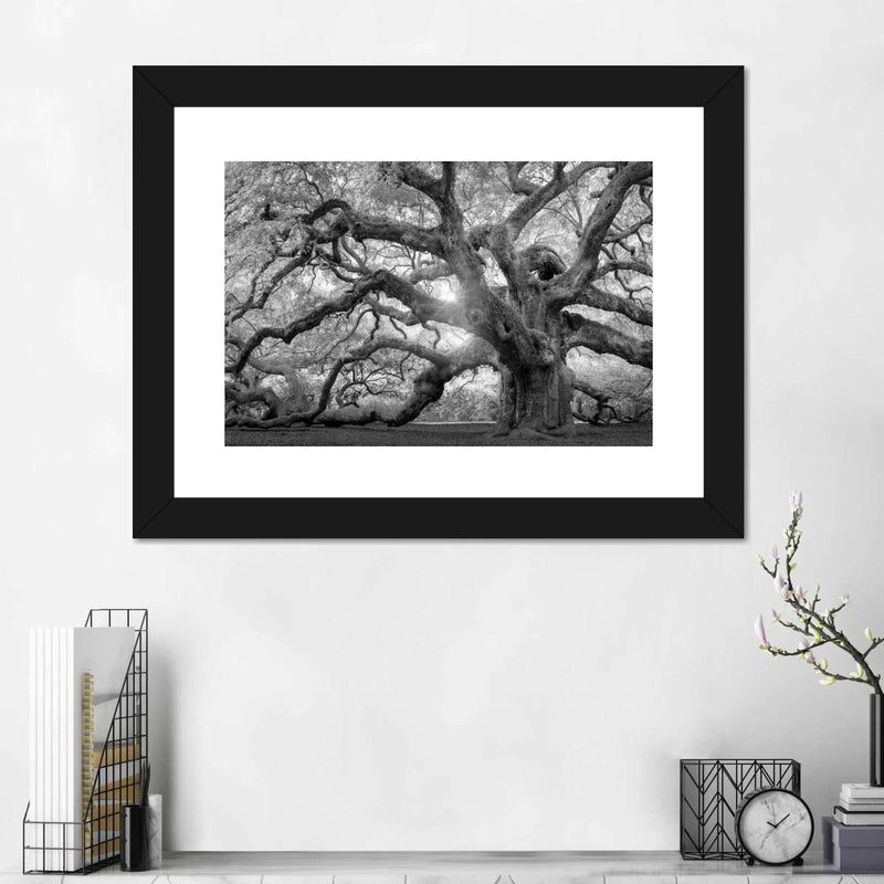 Monochrome Angel Oak Tree Wall Art