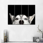 Peeking Siberian Husky Wall Art