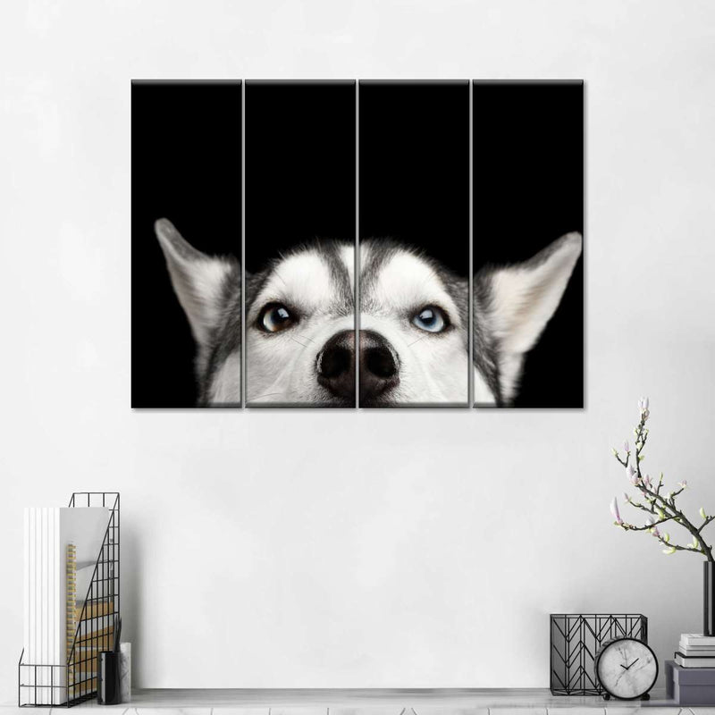 Peeking Siberian Husky Wall Art