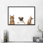 Pug And Cats Wall Art