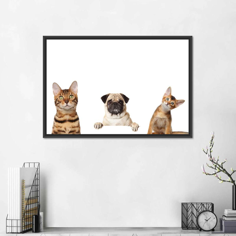 Pug And Cats Wall Art