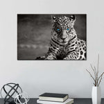 Jaguar Eyes Pop Wall Art
