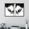 Husky's Eyes Wall Art