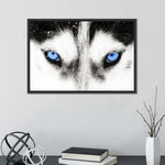 Husky's Eyes Wall Art