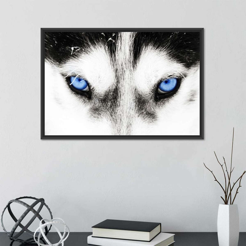 Husky's Eyes Wall Art