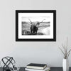Highland Bull Wall Art