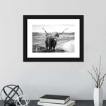 Highland Bull Wall Art