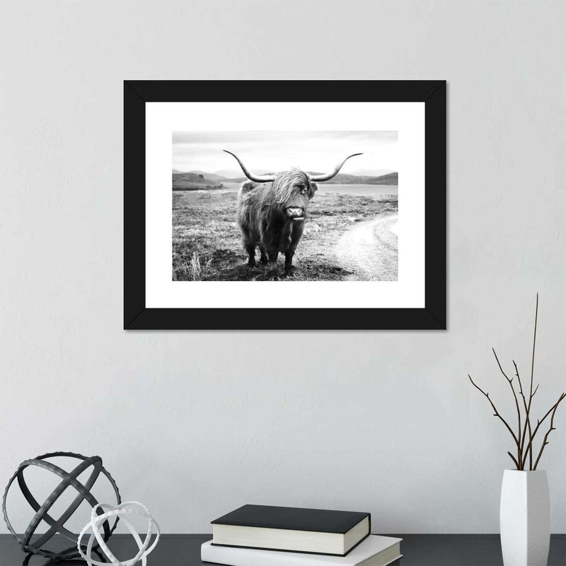 Highland Bull Wall Art
