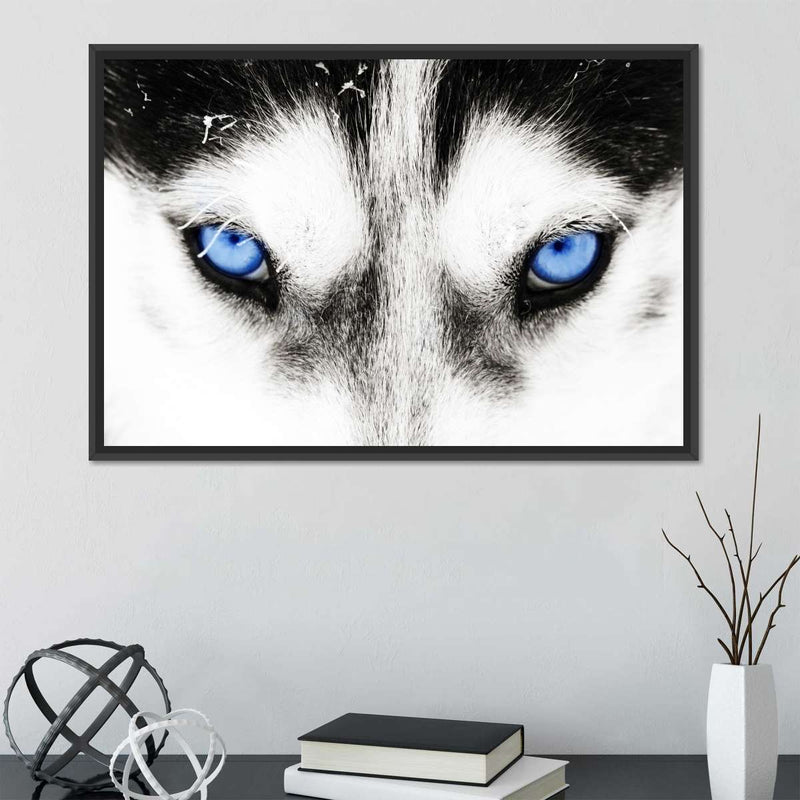 Husky's Eyes Wall Art