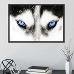 Husky's Eyes Wall Art