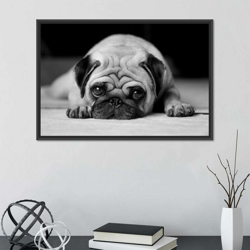 Sad Pug Wall Art