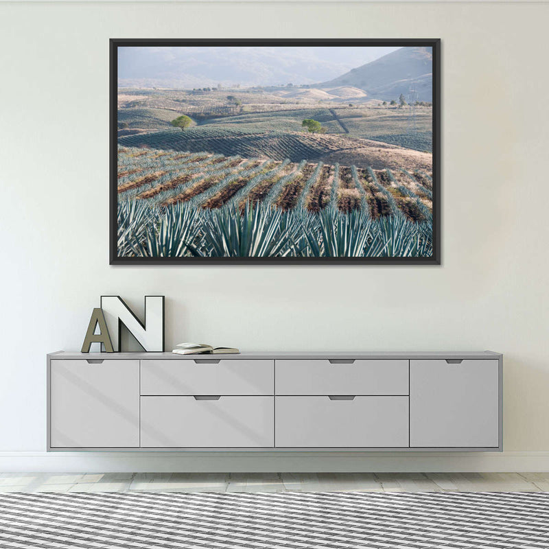 Tequila Jalisco Agave Field Wall Art