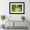 Tree Top Wall Art