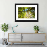 Tree Top Wall Art