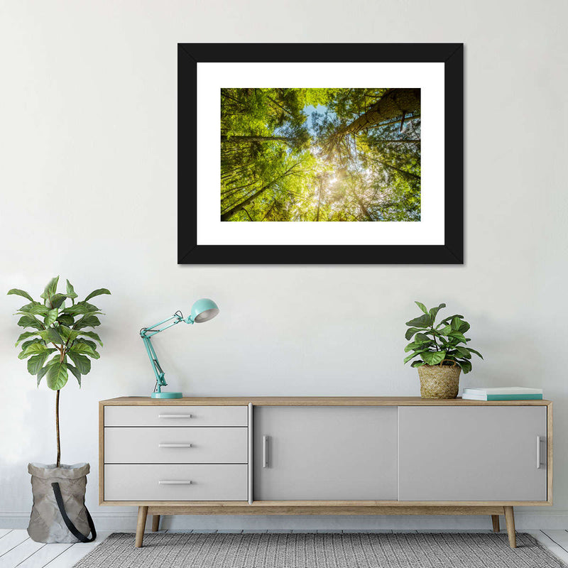 Tree Top Wall Art