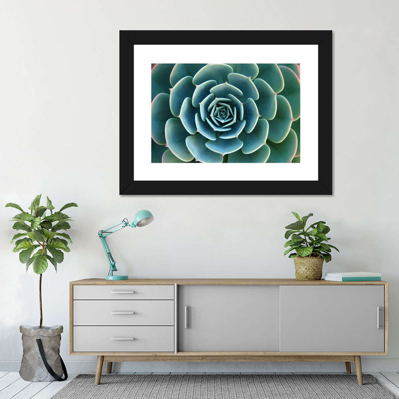 Live Succulent Wall Art