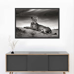 Lioness Wall Art
